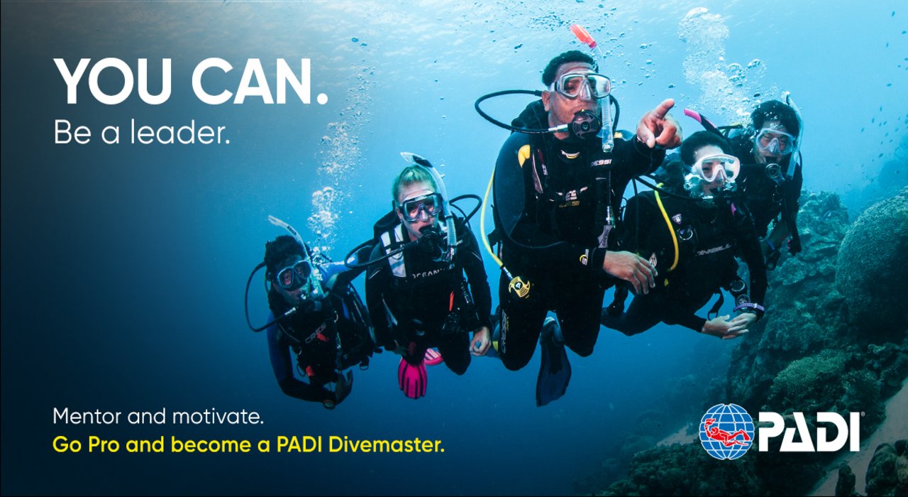 Padi Dive Master Eğitimi